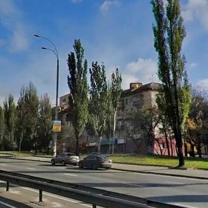 Druzhby Narodiv Boulevard, 8, Kyiv: photo