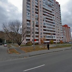 Avtozavodska Street, 43, Kyiv: photo