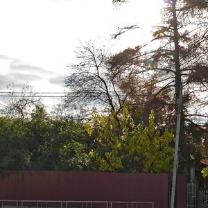 Lvovskaya Street, 42, : foto