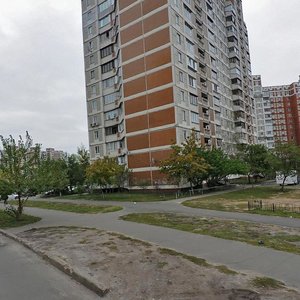 Volodymyra Maiakovskoho Avenue, 50, Kyiv: photo