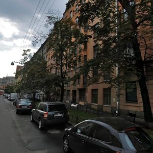 Vsevoloda Vishnevskogo Street, 20, Saint Petersburg: photo