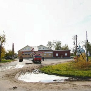Нижегородская область, Деревня Шеляухово, 59А: фото