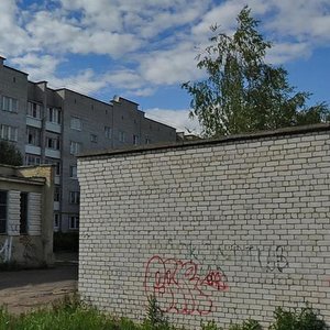 Ulitsa Chelyuskintsev, 10 ، : صورة