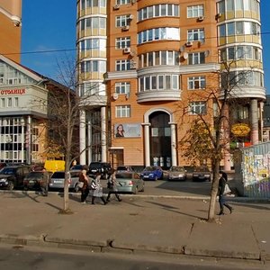 Marshala Tymoshenka Street, 21b2, Kyiv: photo