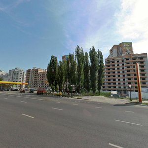 Воронеж, Московский проспект, 90А: фото