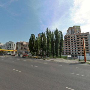 Moskovskiy Avenue, 90А, Voronezh: photo
