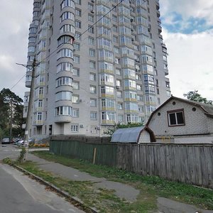 Verkhovynna Street, 91, : foto