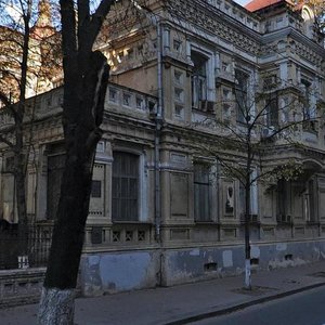 Velyka Zhytomyrska Street, 28, Kyiv: photo