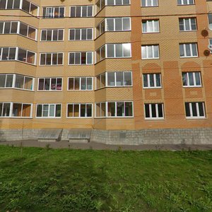 Pushkina Street, 24к1 ، : صورة