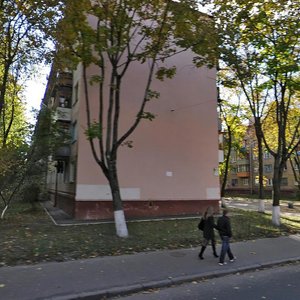 Ihoria Turchyna Street, 7, Kyiv: photo