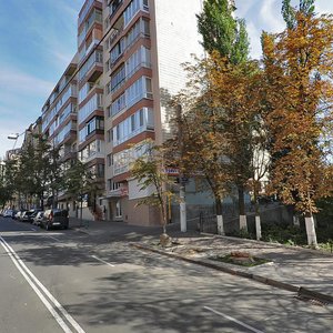 Olesia Honchara Street, 47/49, Kyiv: photo