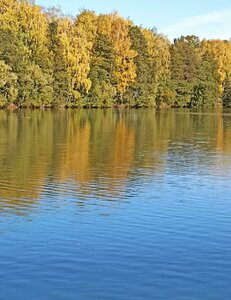 Shosseynaya ulitsa, 40Б, : foto