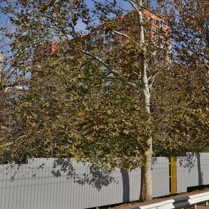 Fadeev Street, 429, Krasnodar: photo
