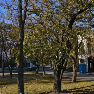 Sovetov Street, 39А, Novorossiysk: photo