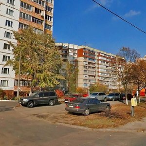 Mykoly Zakrevskoho Street, 57, Kyiv: photo