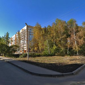 Novo-Kazanskaya Street, 8, Penza: photo