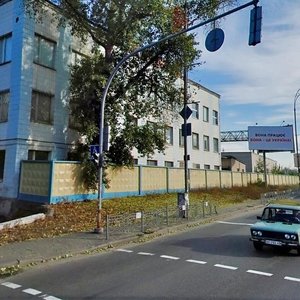 Mezhihirska Street, 78, Kyiv: photo