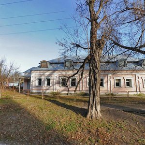 Himnaziina vulytsia, 9, Pereiaslav: photo