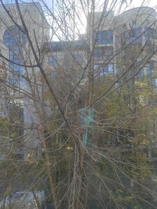 Dostoevskogo Street, 73, Ufa: photo