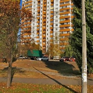 Raiduzhna Street, 31 ، كييف: صورة
