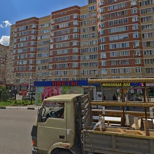 Rodniki Microdistrict, 6, Moscow: photo