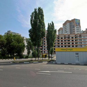 Moskovskiy Avenue, 84, Voronezh: photo