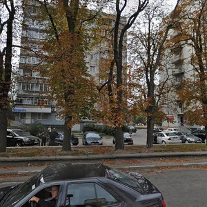 Kyivska vulytsia, 109 ، : صورة