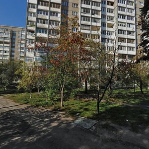 Akademika Dobrokhotova Street, 1, Kyiv: photo