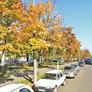 Staravilienski Tract, 93, Minsk: photo