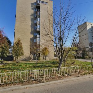 Vovchynetska vulytsia, 202, Ivano‑Frankivsk: photo