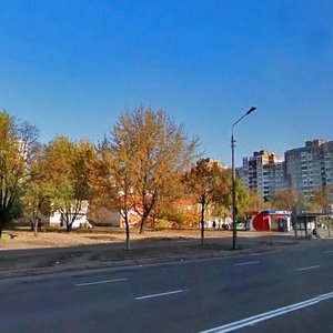 Volodymyra Maiakovskoho Avenue, 63/12, : foto