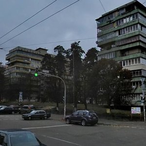 Chornobylska Street, 11, Kyiv: photo