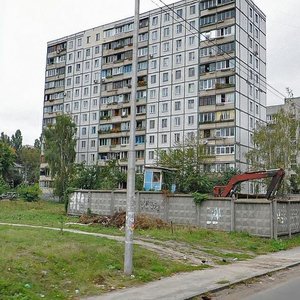 Mashynobudivna Street, 25, Kyiv: photo