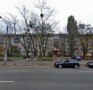 Vasylkivska Street, 49, Kyiv: photo