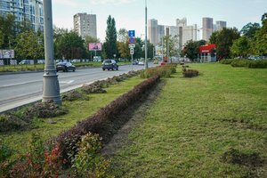 Ilmenskiy Drive, 14к8, : foto