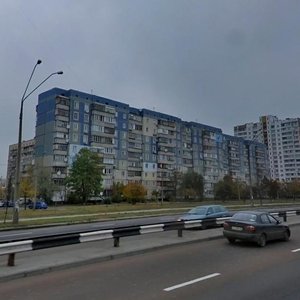 Mykoly Bazhana Avenue, 7И, Kyiv: photo