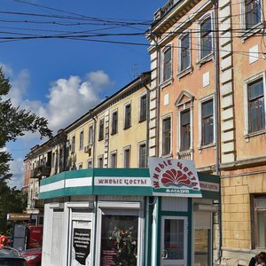 Nekrasovskaya Street, 22, Samara: photo