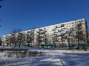 Mechnikova Avenue, 3, Saint Petersburg: photo