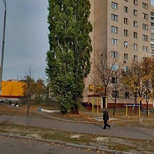 Mytropolyta Andreia Sheptytskoho Street, 20, Kyiv: photo