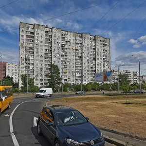 Heroiv Dnipra Street, 10/12, Kyiv: photo