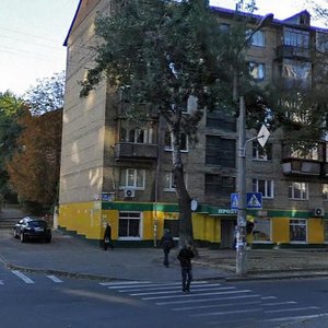 Oleksy Tykhoho Street, 17/19, Kyiv: photo