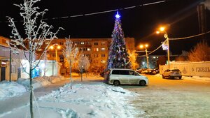 Москва и Московская область, Посёлок Электроизолятор, 70: фото