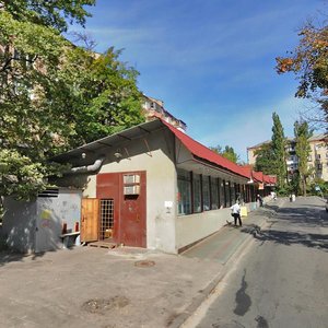 Profesora Pidvysotskoho Street, 8А ، كييف: صورة