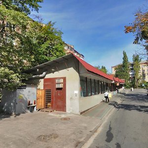 Profesora Pidvysotskoho Street, 8А, : foto