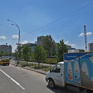 Marshala Konieva Street, 8, Kyiv: photo