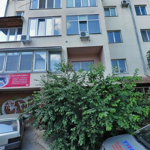 Petropavlivska vulytsia, 5, : foto
