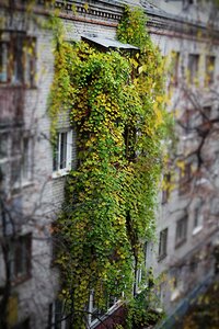 Krasnodontsev Street, No:4, Nijni Novgorod: Fotoğraflar