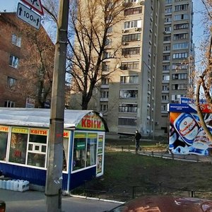 Antonovycha Street, 124/128, Kyiv: photo