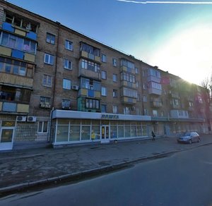 Parkovo-Syretska Street, 11, Kyiv: photo