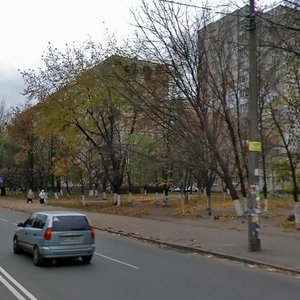 Hnata Yury Street, 8, Kyiv: photo